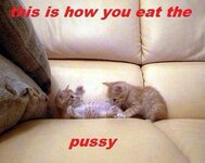 eatthepussy.jpg