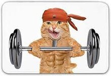 YnimioHOB Lustige rutschfeste Türmatte, Fitness-Katze, die eine große  muskulöse Kitty-Bodybuilding-Turnhallen-Spaß-Bild-dekorative Fußmatte der  Hantel für die Haustür Innen anhebt : Amazon.de: Küche, Haushalt & Wohnen