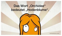 uw-Orchidee.jpg