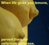 (!!__lemons).jpg