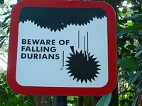 DurianWarning (Medium).jpg