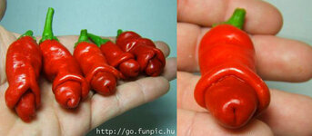 peter-picked-peppers.jpg