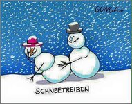 Schneetreiben.jpg