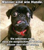 Maenner-Hunde.jpg