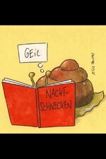 Nacktschnecken_1.jpg