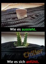 wieesaussieht-anfuehlt.jpg