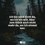 ich-bin-noch-nicht-da-wo-ich-hin-will-aber-zum-glueck-auch-nicht-mehr-da-wo-ich-einmal-war.jpg