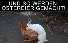 Frohe Ostern.jpg