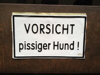 pissigerHund.jpg