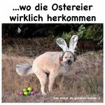 Ostereier-herkommen-h.jpg