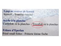 tittenfisch.jpg