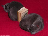 Bakker-BookEnds.jpg