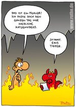 Fehler-Katzenbilder.jpg