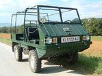 $220px-Haflinger1967.jpg