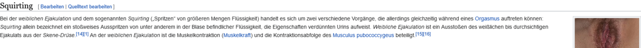 Weibliche Ejakulation – Wikipedia.png