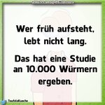 werfruehaufsteht-Studie.jpg