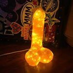 Penis nachtlicht - Etsy.de