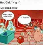 person-hot-girl-hey-my-blood-cells-where-are-going-so-fast-dick.jpeg