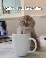 Coffee-Need-my-coffee-1698903442400.jpg