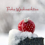 naturfoto-christbaumkugel-im-schnee-text-froheweihnachten-und-ein-gesundes-und-glueckliches-ne...jpg