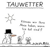 schneemann.jpg