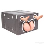 butt-box-pussy-box.jpg