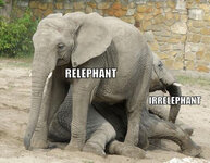 (!!__relephant).jpg