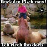 Fisch.jpg