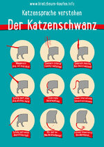 Infografik_Katzenschwanz.jpg