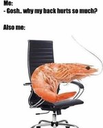 Meme_Shrimp.jpg