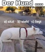 Der_Hund.jpg