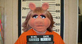 the-feminist-trials-of-miss-piggy.jpg