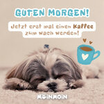 gutenMorgen2023_moinmoin_12_v1.jpg