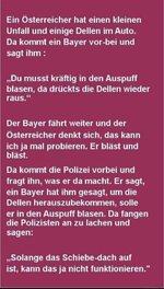 ein bayer.jpg