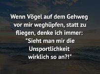 vögel.jpg