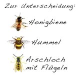 arschloch-mit-fluegel-ladyshirt-wespe-imker-bienen-spass-lustig-funshirt~2.jpg