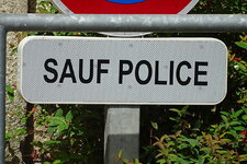 sauf-1.JPG