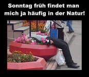 inderNatur-h.jpg