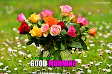 good-morning-flower-pictures-akfo2yrf5018a2p9.jpg