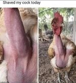 SHAVED COCK.jpg