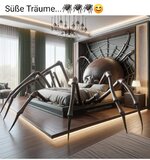 spinne.jpg