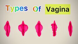 vagina.jpg