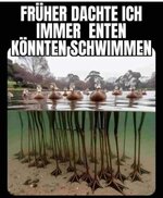 enten.jpg