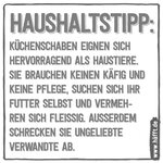 tipps-zum-wochenende5.jpg