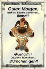 Lustige-Gru-e-Bilder-7.jpg