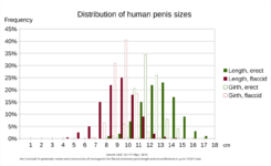 Human_penis_sizes.svg.png