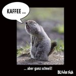 Kaffee schnell.jpg