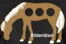 Bilderrätsel.png