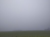 nebel.jpg