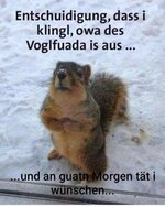 vogelfutter.jpg